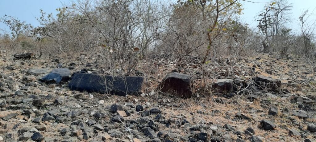 3 हजार साल पुराने खैरवाड़ा के रहस्य को उजागर करने की दरकार: पर्यटन केंद्र की मांग फिर हुई तेज