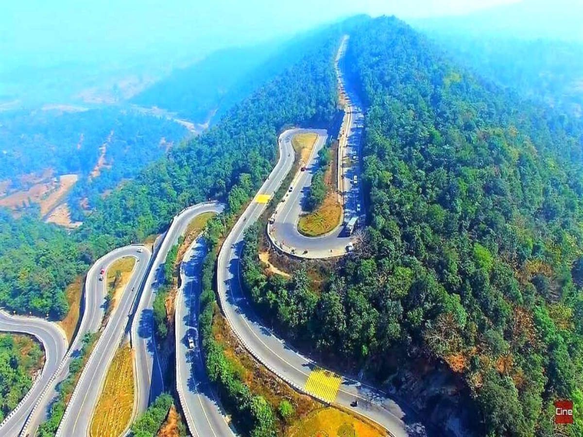 झारखंड के चार जिलों में बनेगी जंगल सफारी, ईको टूरिज्म को मिलेगा बढ़ावा